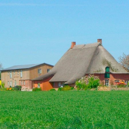 Апартаменты "Hof Triangel - Whg 2" - Bauernhofurlaub Riepsdorf Экстерьер фото